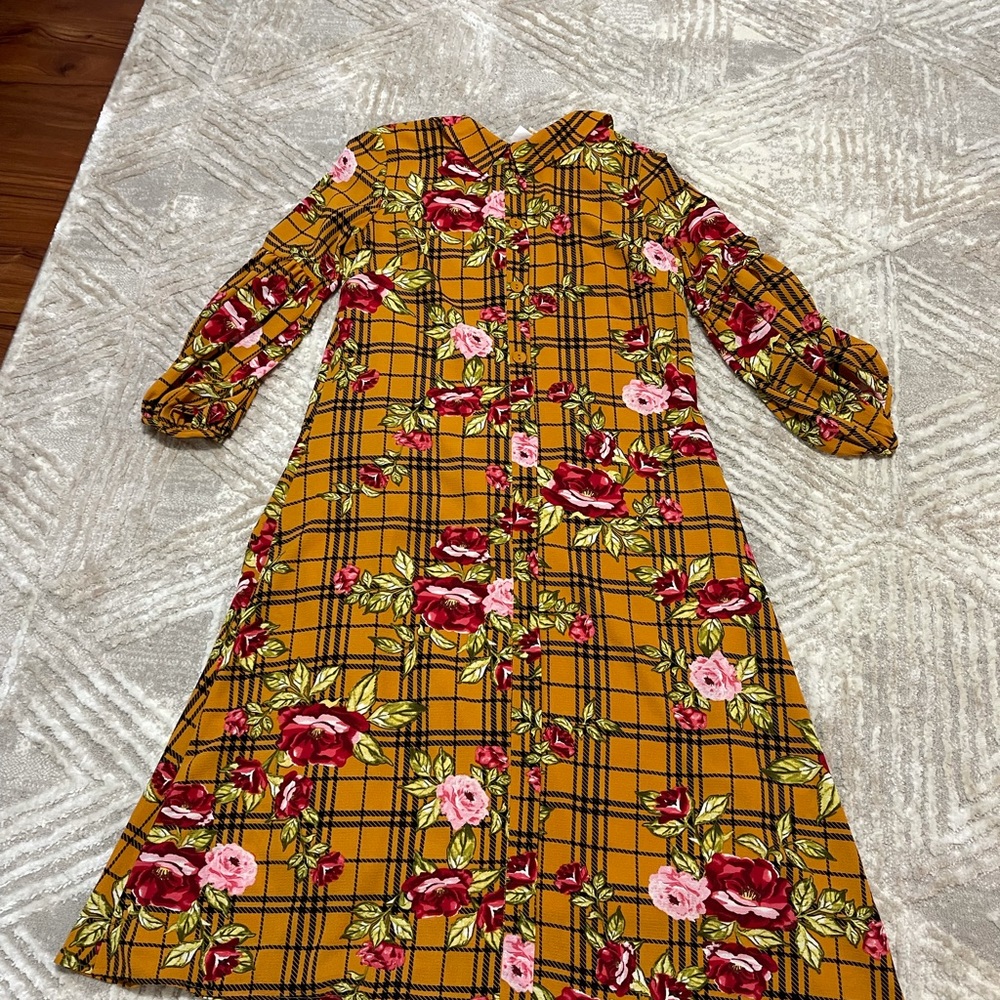 Zadie Bs Dress